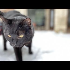 Meet your Posher, Mandy